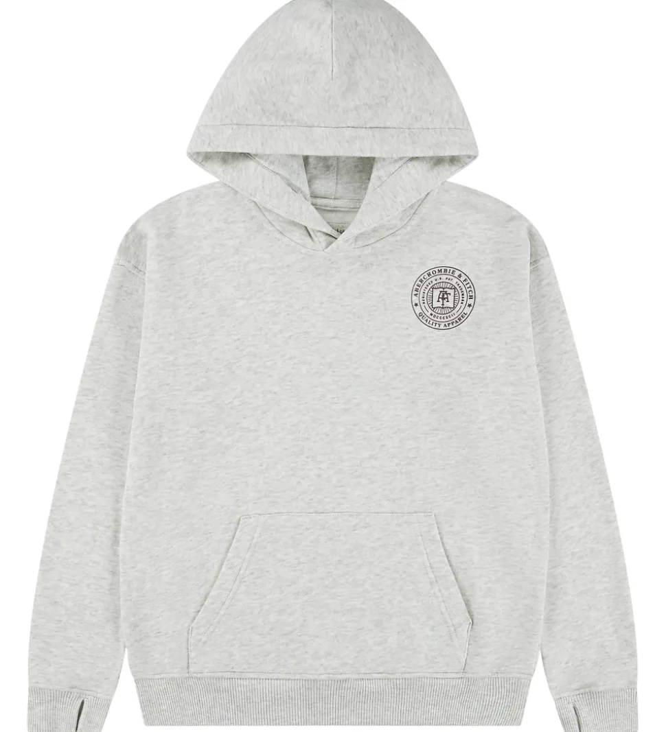 Abercrombie & Fitch Hættetrøje - Lysegråmeleret m. Print