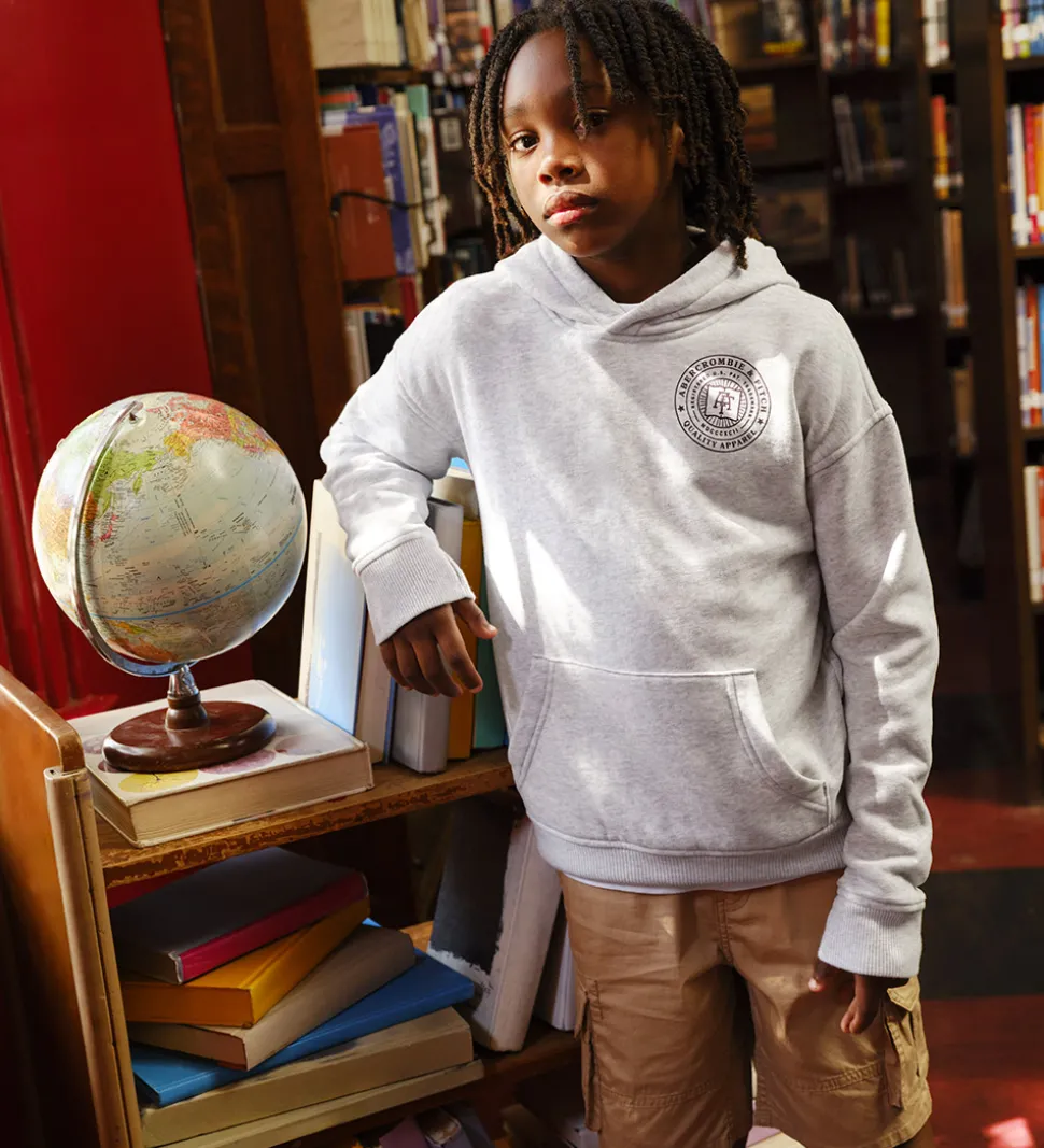 Abercrombie & Fitch Hættetrøje - Lysegråmeleret m. Print