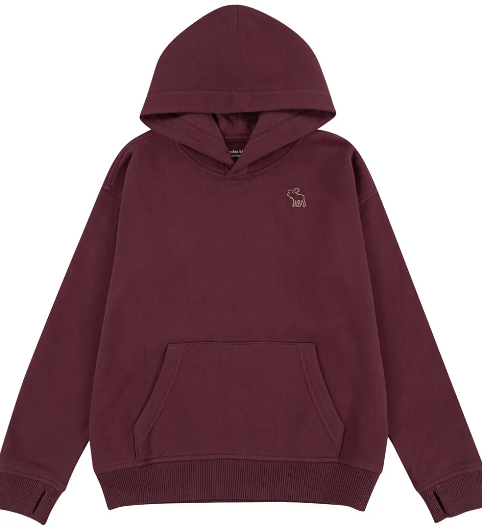 Abercrombie & Fitch Hættetrøje - Fig