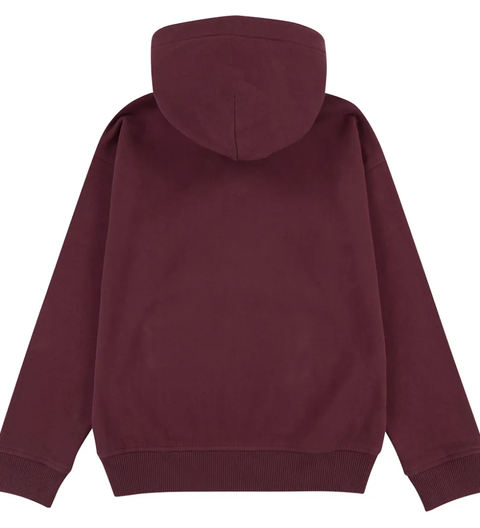 Abercrombie & Fitch Hættetrøje - Fig