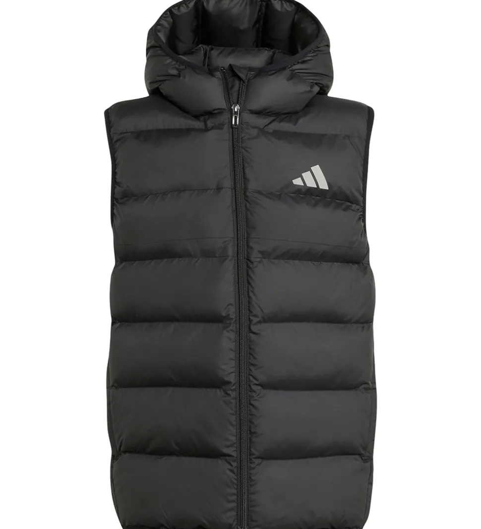 adidas Performance Dynevest - Sort