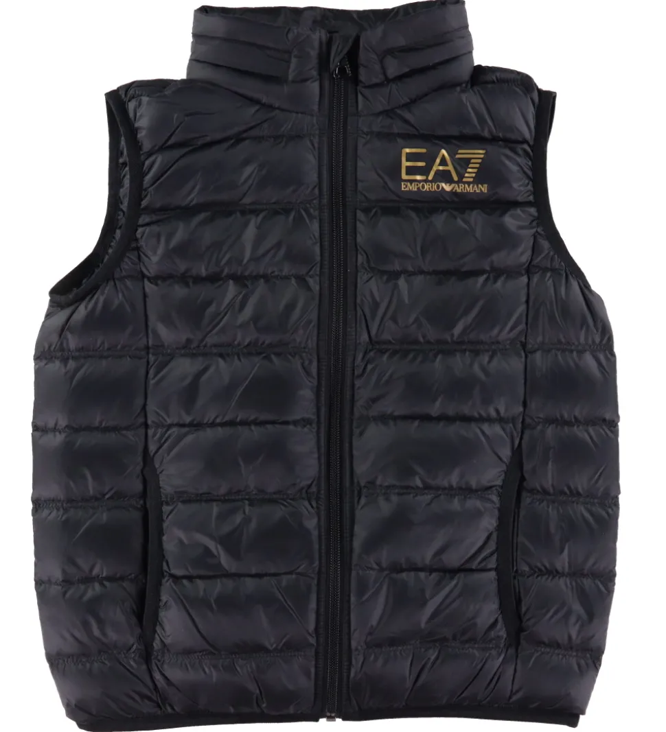 EA7 Dunvest - Sort m. Guld