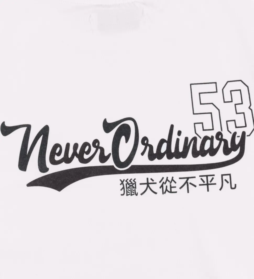 Hound T-shirt - Hvid m. Print