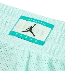Jordan Shorts - Dri-Fit - Igloo m. Print