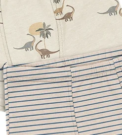 Konges Sløjd Boxershorts - 2-pak - Gots - Kubi/Stripe Bluie