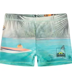 Molo Badebukser - UV50+ - Norton Placed - Leo On Surf