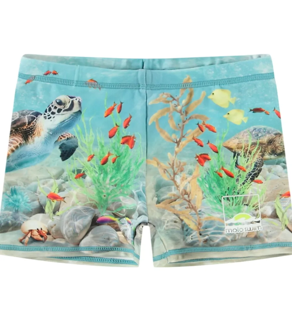 Molo Badebukser - UV50+ - Norton Placed - Happy Ocean