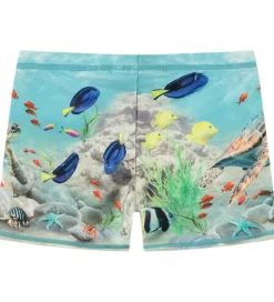 Molo Badebukser - UV50+ - Norton Placed - Happy Ocean