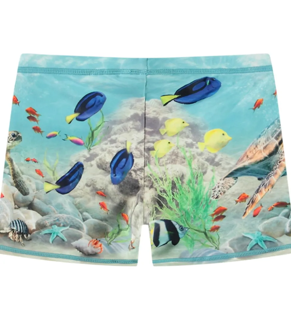 Molo Badebukser - UV50+ - Norton Placed - Happy Ocean