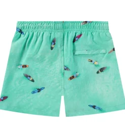 Molo Badeshorts - UV50+ - Niko - Ocean Surfers