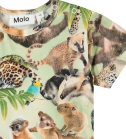 Molo Sommerdragt - Finn - Jungle Cubs