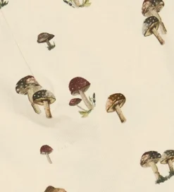 Petit Piao Huer - 2-pak - Fungie