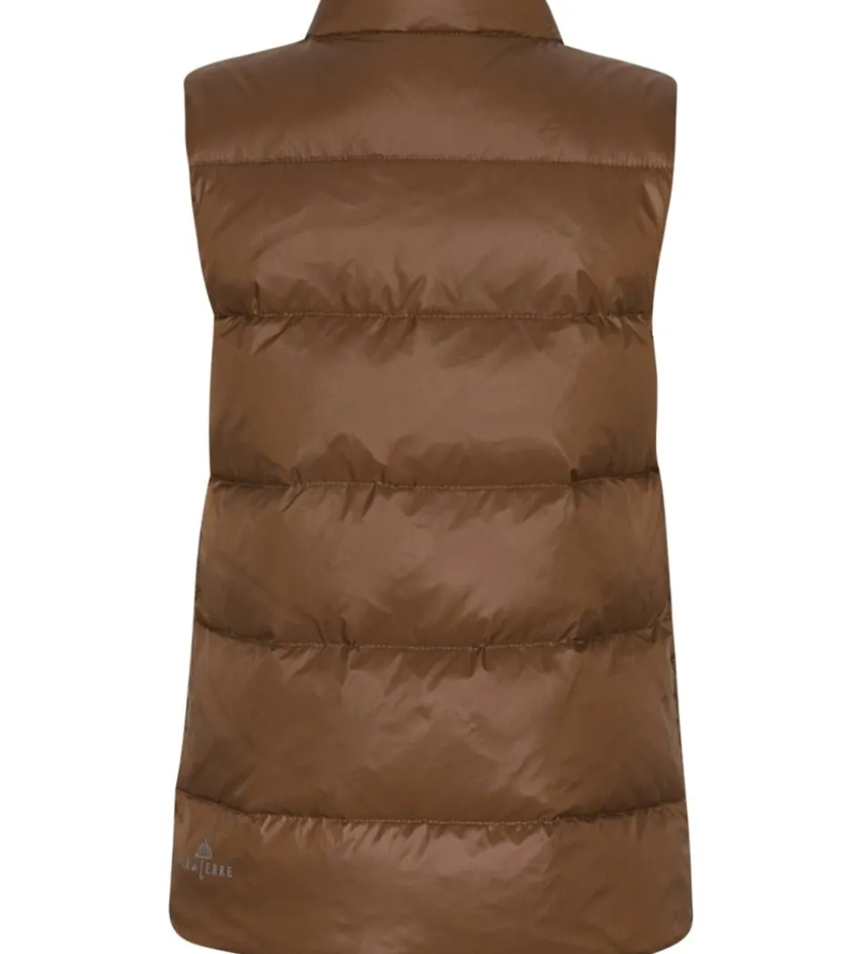 Ver de Terre Dunvest - Brownie